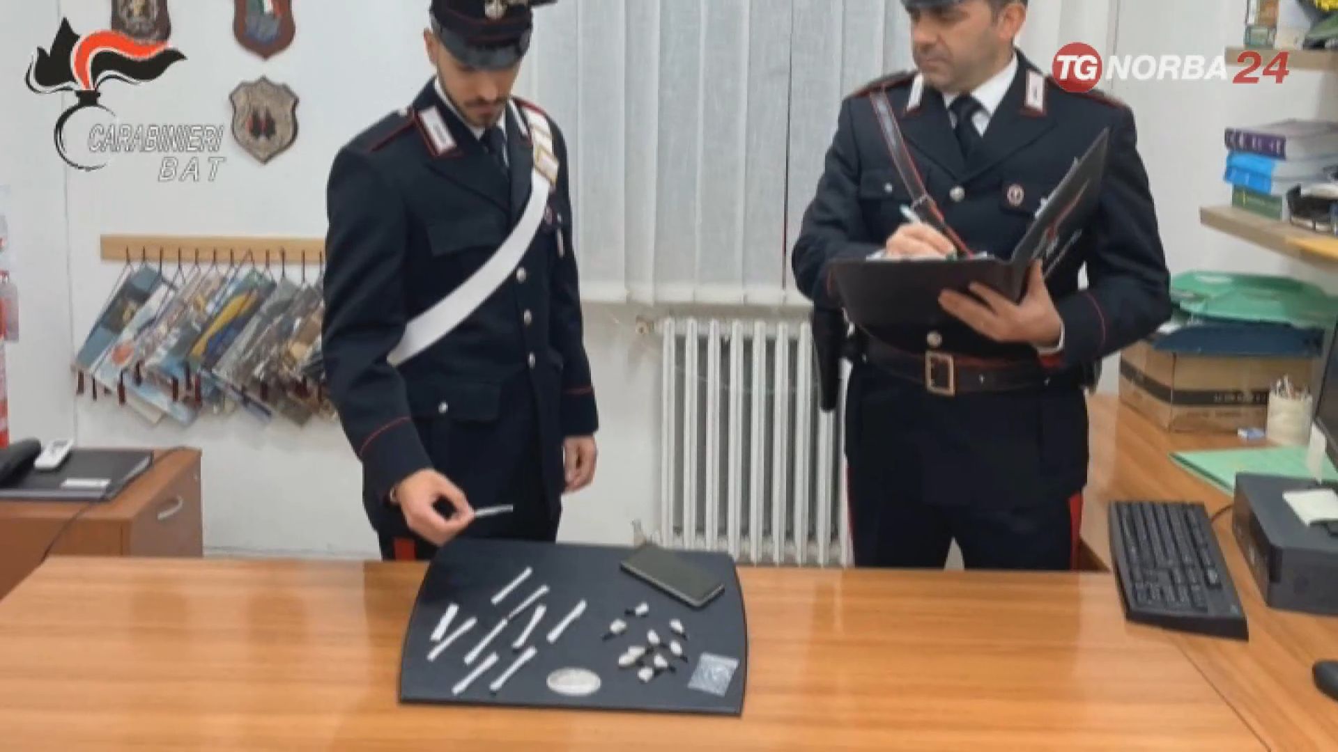 Tre Persone Arrestate Dai Carabinieri Nel Nord Barese VIDEO Norba Online