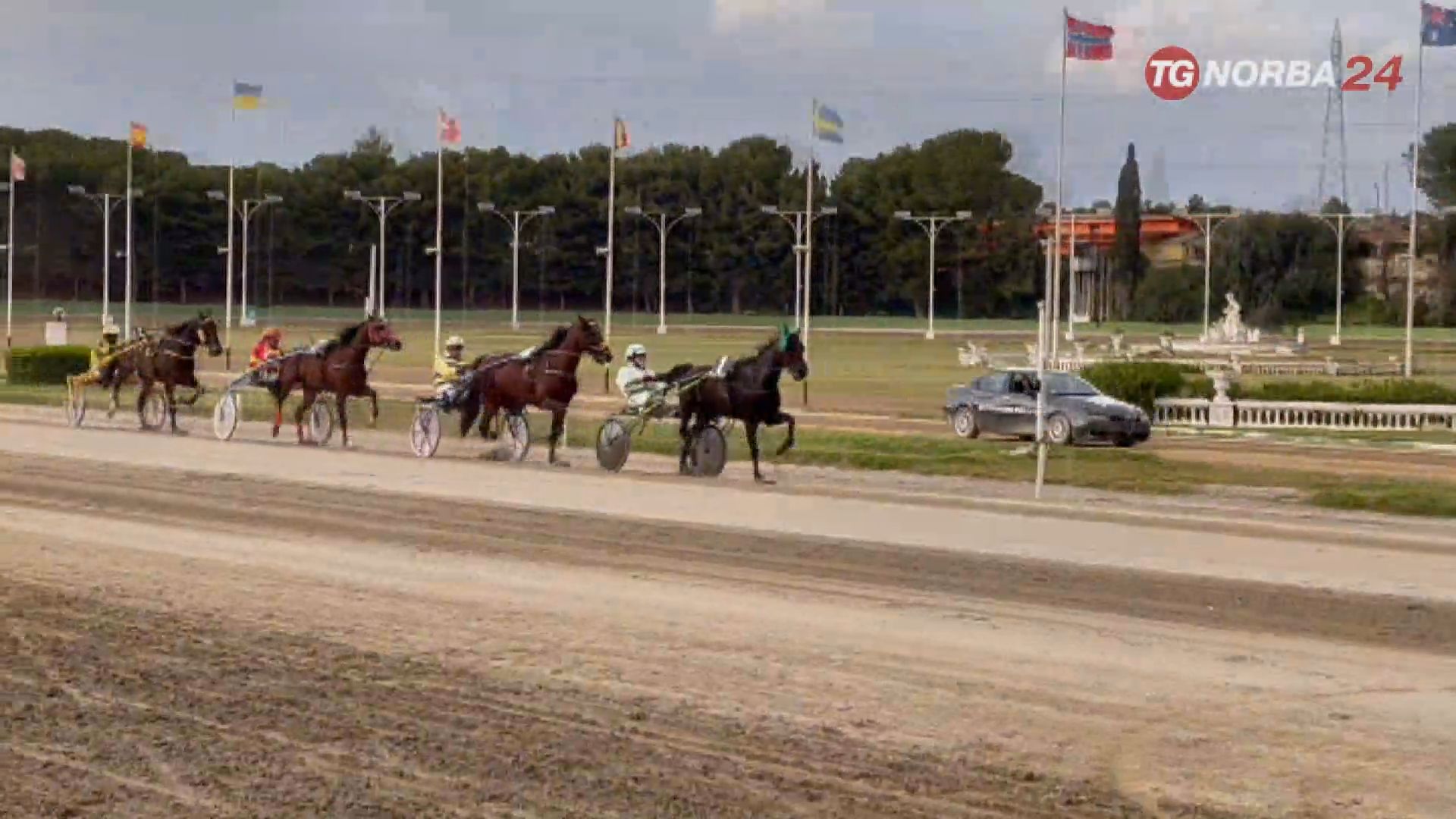 Taranto Corse Al Trotto All Ippodromo Paolo VI Norba Online