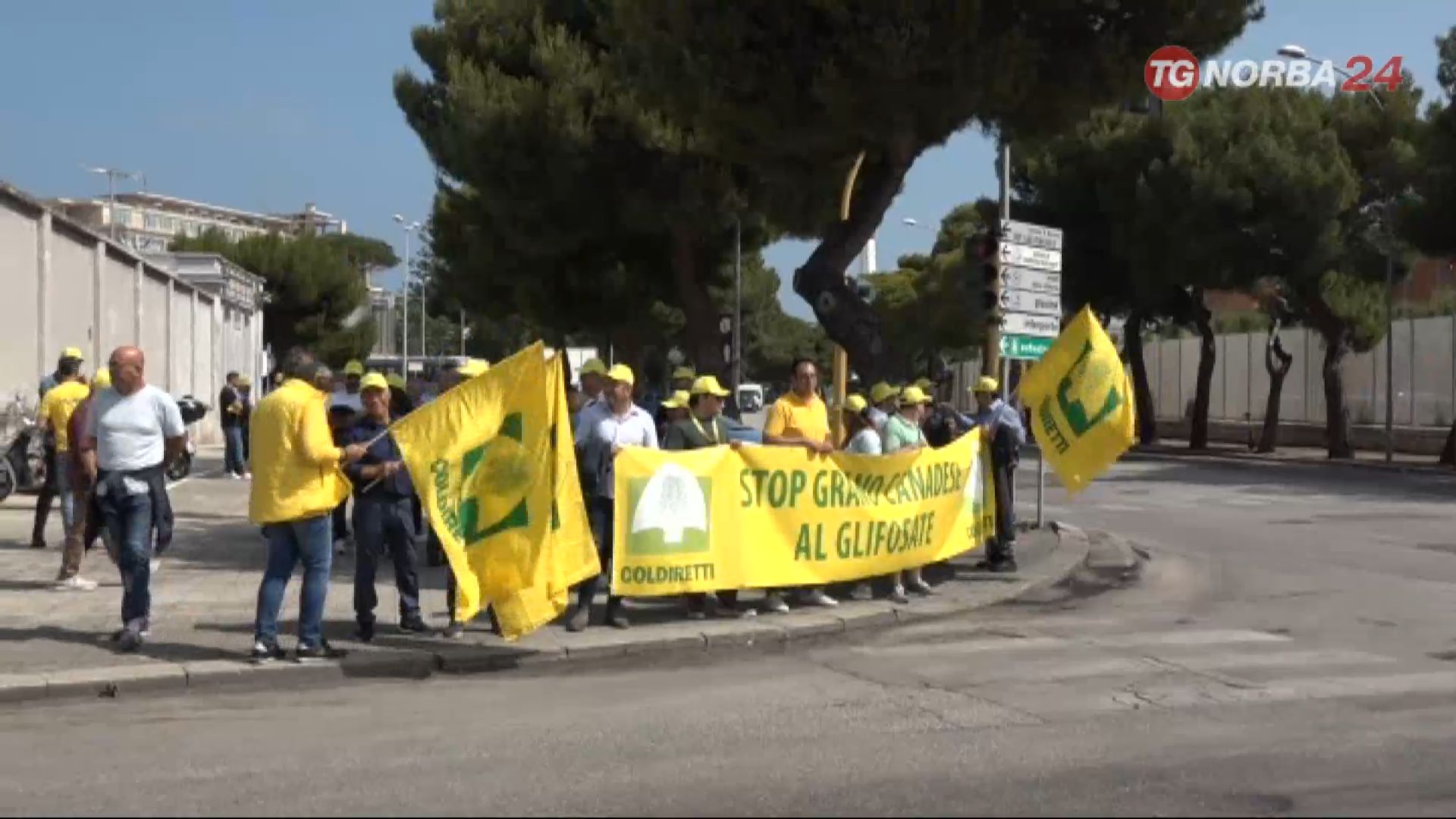 Bari Grano Dal Canada La Protesta Di Coldiretti Norba Online